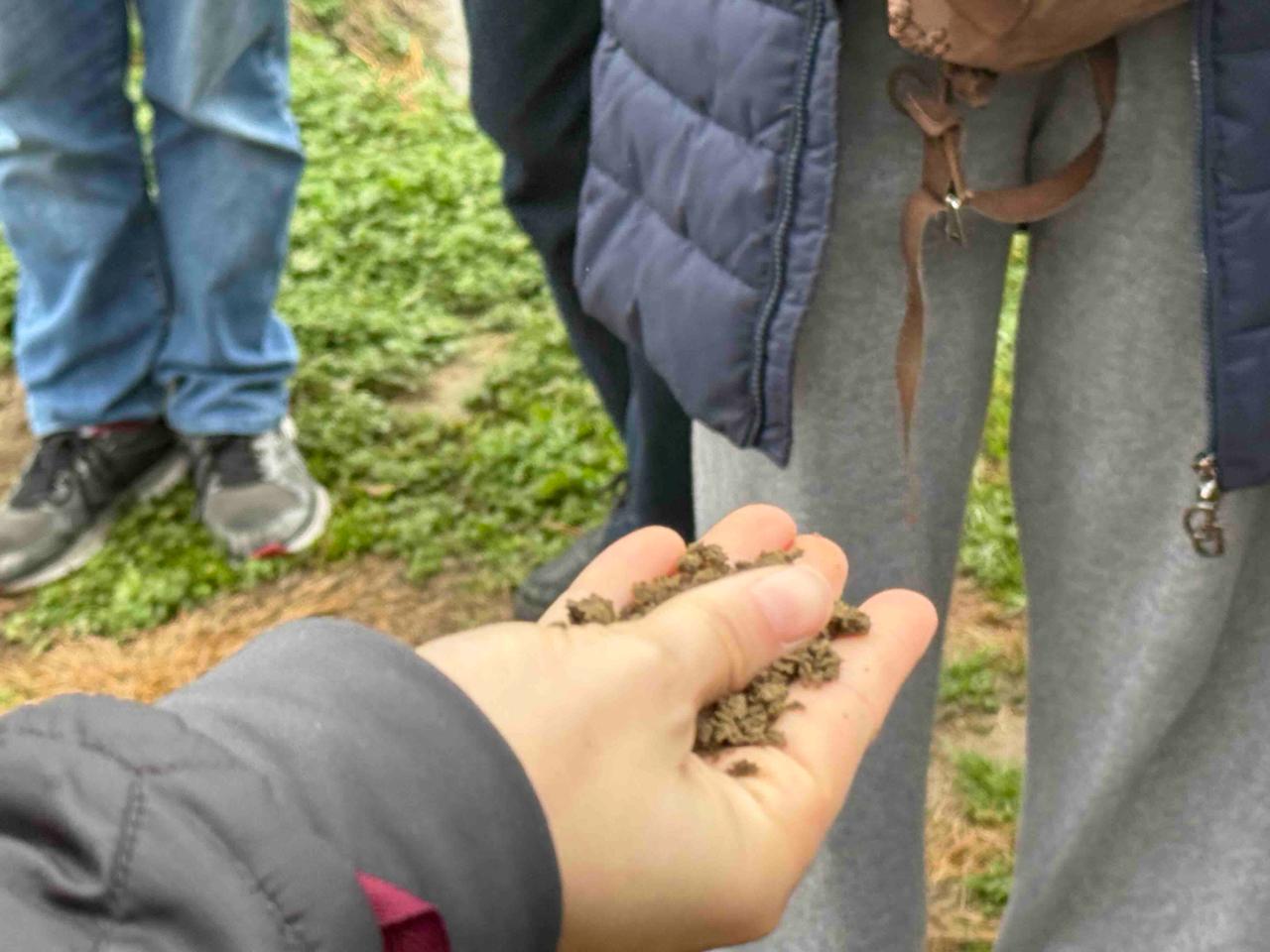 WhatsApp Image 2025 11 17 at 13.44.43 1