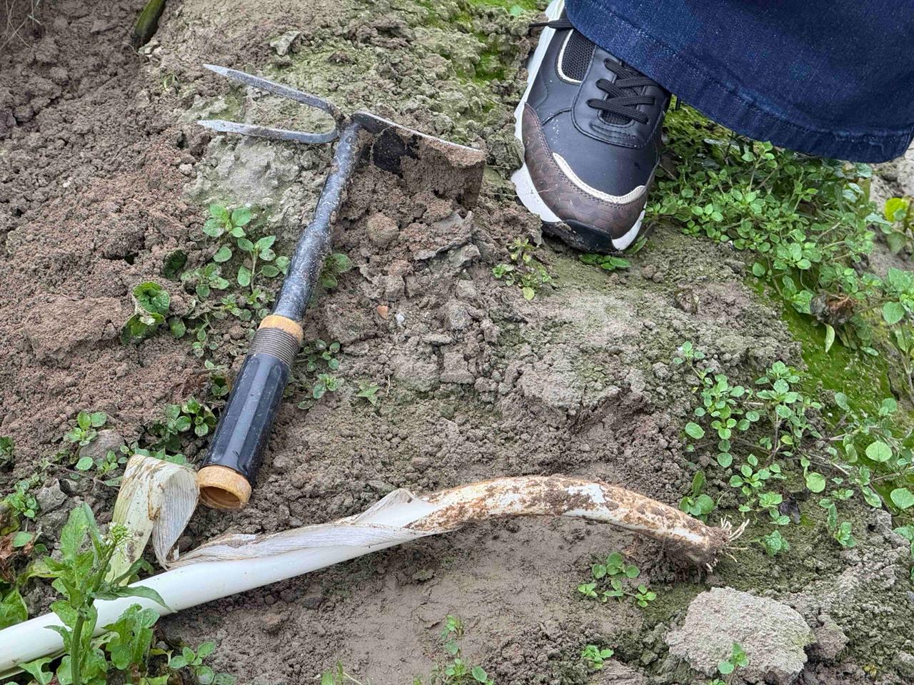 WhatsApp Image 2025 11 17 at 13.44.43 1