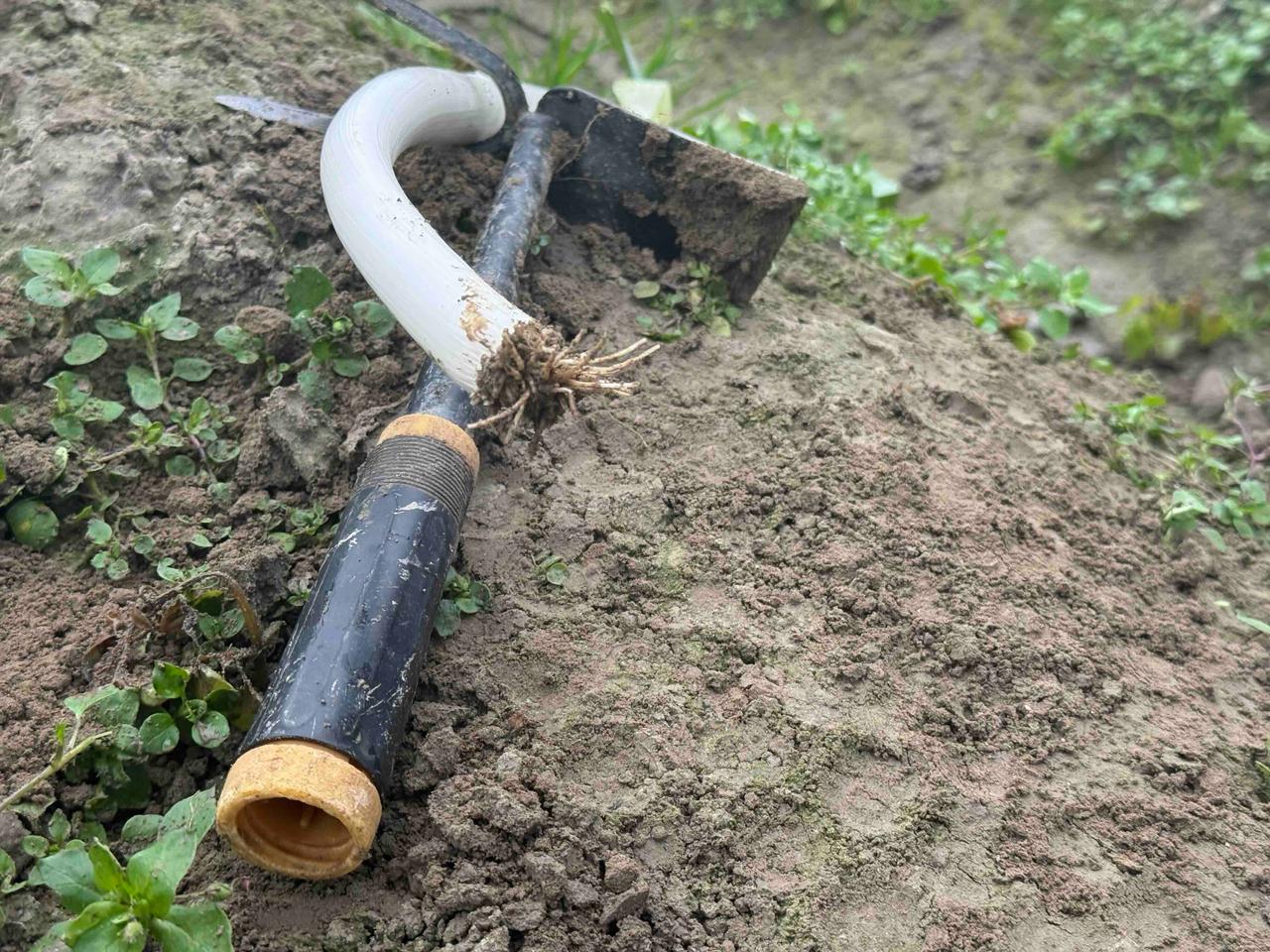 WhatsApp Image 2025 11 17 at 13.44.43 1