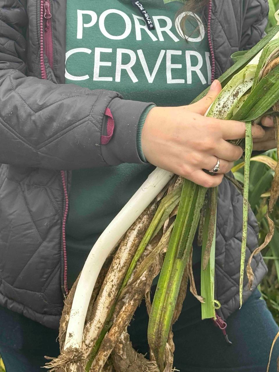 WhatsApp Image 2025 11 17 at 13.44.43 1