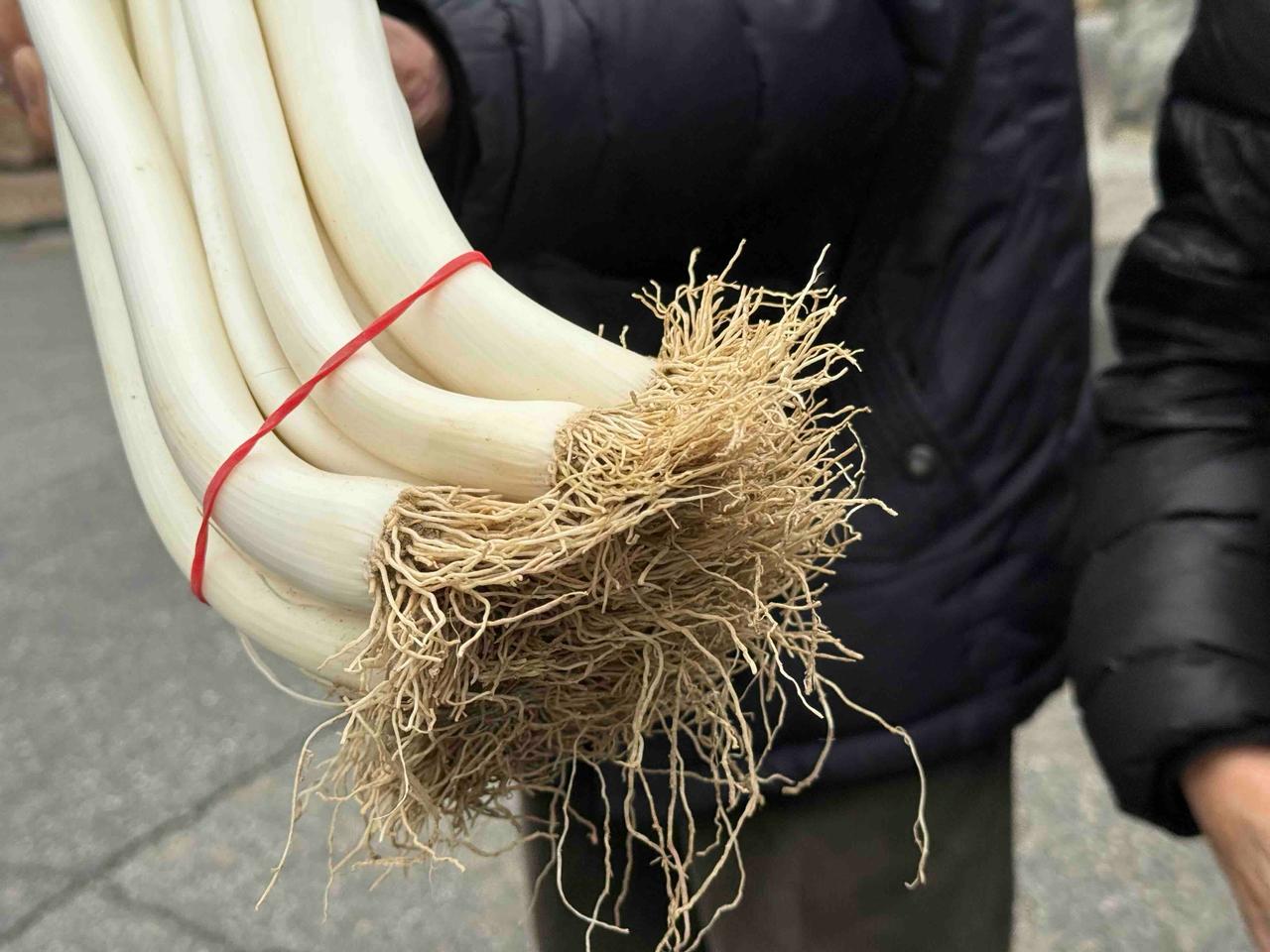 WhatsApp Image 2025 11 17 at 13.44.43 1